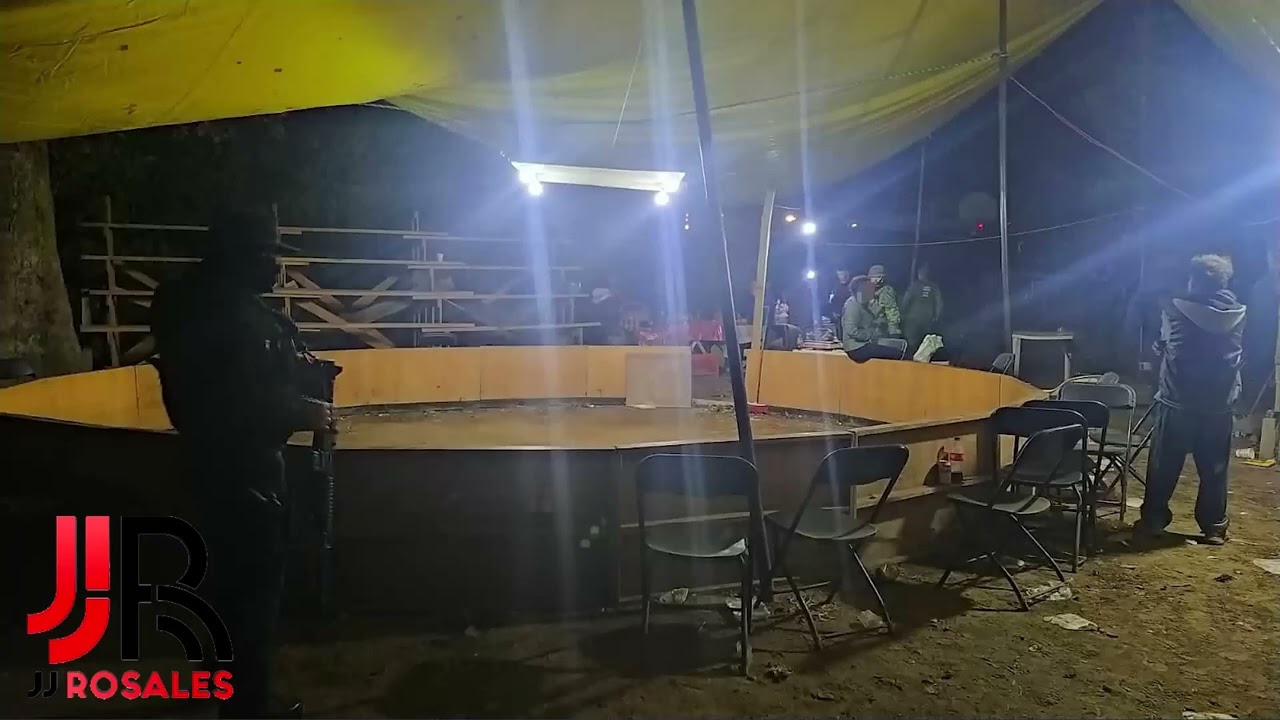 Los palenques clandestinos equivalen a delincuencia, “no hay de otra”, dice Ramírez Bedolla