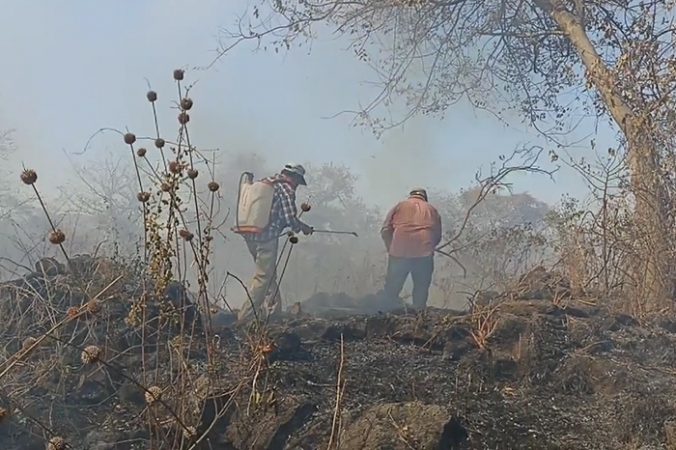 Incendio devasta La Mintzita: en solo horas fuego arrasó 2.36 hectáreas del área de recarga