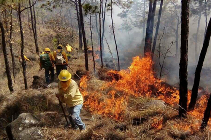 Michoacán declara estado de contingencia: 82% del territorio tiene sequía