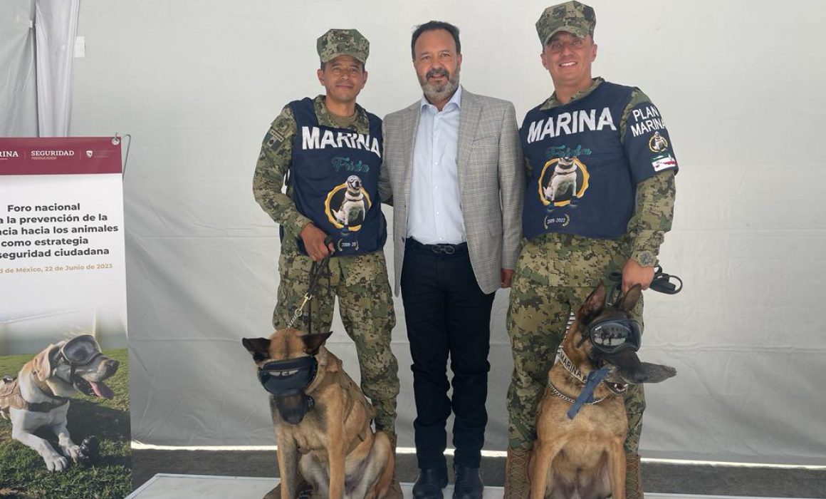 Asiste alcalde de Pátzcuaro a foro de Prevención de la Violencia hacia los Animales como Estrategia de Seguridad Ciudadana