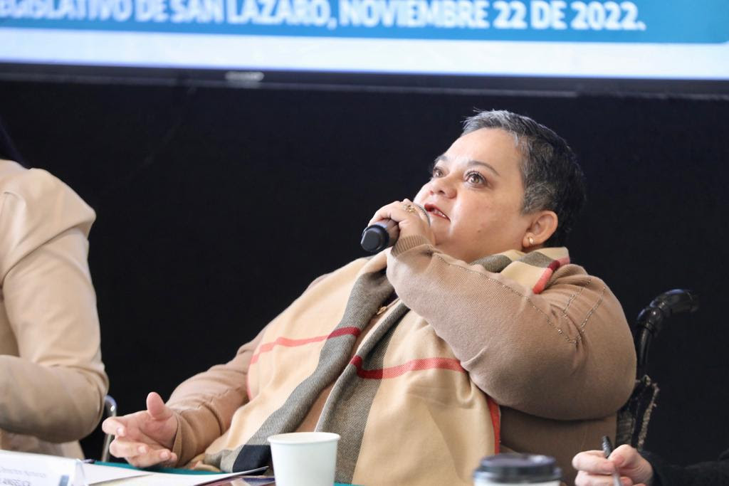 NORMA ACEVES, LA DIPUTADA FEDERAL QUE MÁS TRABAJA POR LAS PERSONAS CON DISCAPACIDAD