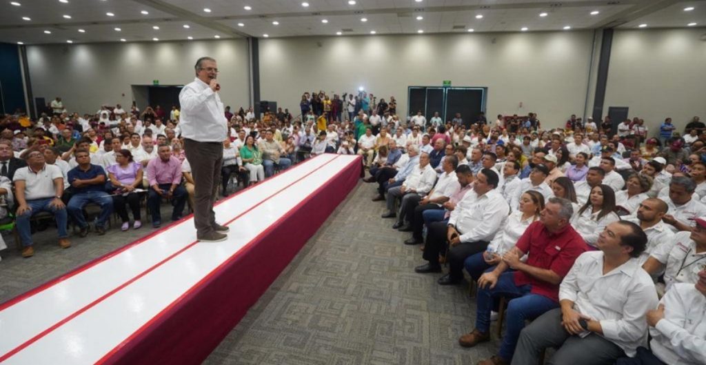 Giras de Morena y oposición para elegir candidatos presidenciales son actos de precampaña, señala magistrada del TEPJF; propone suspenderlas