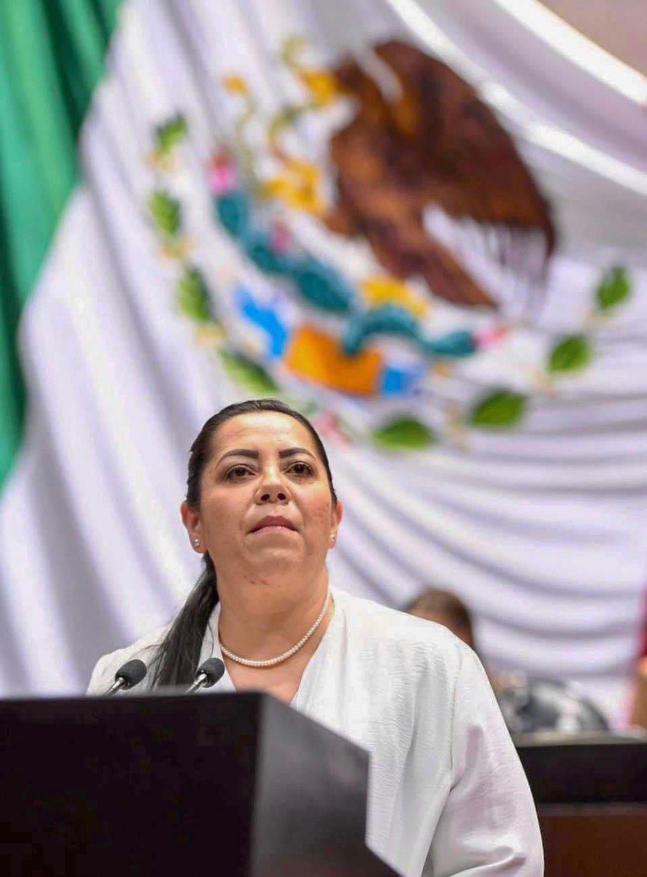 RECHAZA BERENICE JUÁREZ CIERRE DE LA CARRERA DE ING. EN TECNOLOGÍA DE LA MADERA POR UMSNH